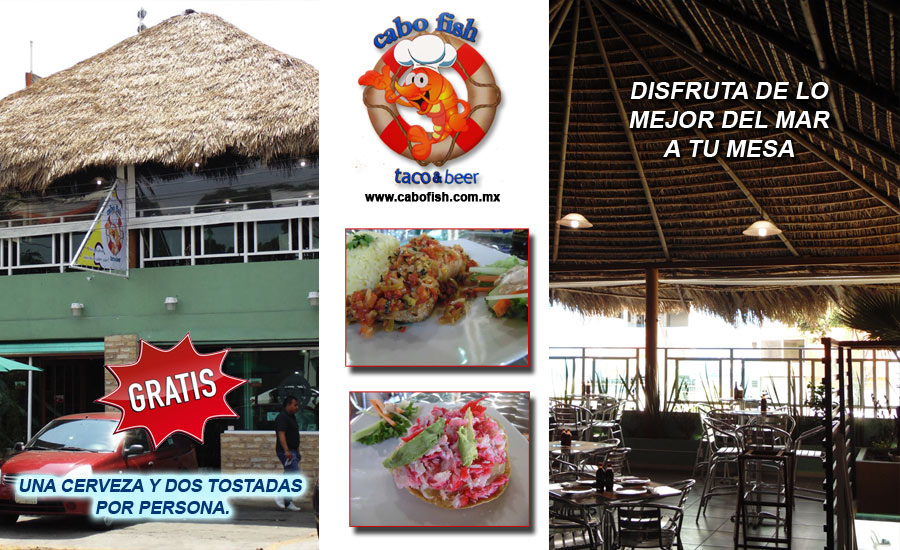 Maricos, vuelve a la vida, camarones, cócteles, ceviche, salmón a la parrilla, lugar familiar.
