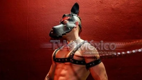 VALENTINA VEGA - trans en CDMX - foto 25