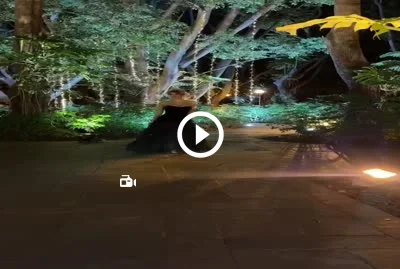 Video 8282