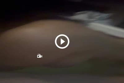 Video 7111