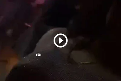 Video 2909