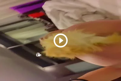 Video 5881