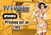 Princesa por un Rato