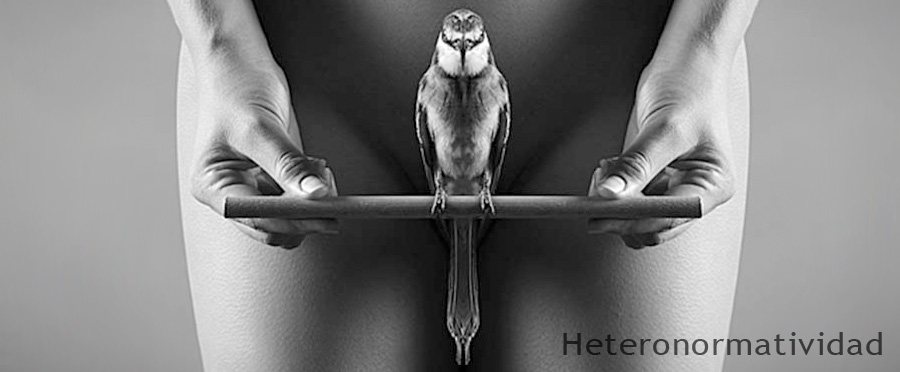 Zitadina - Heteronormatividad